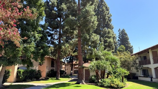 Photo - 6019 Rancho Mission Rd