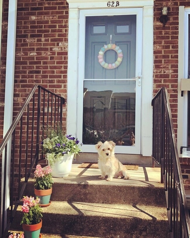 Photo - 62 N Bedford St Unit 62 N Bedford St  B