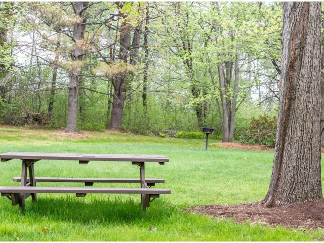 Picnic Areas