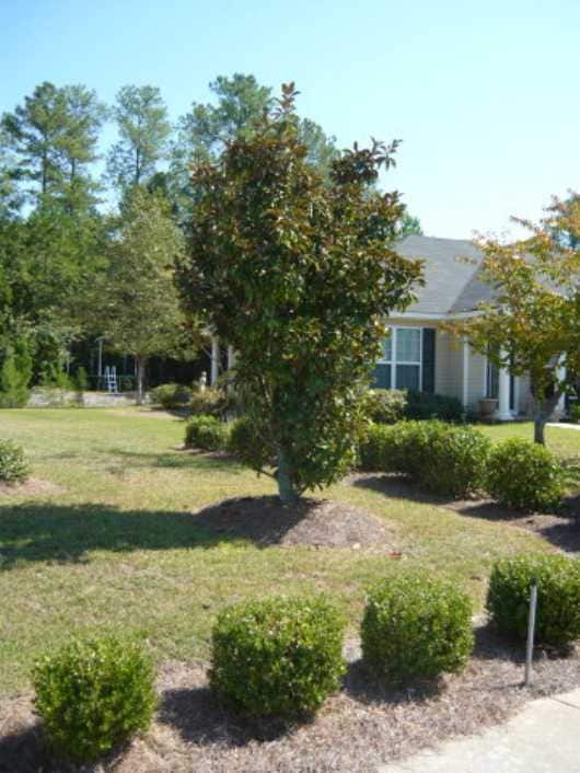 Photo - 175 Oakland Dr