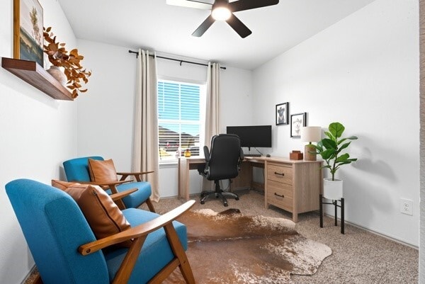 Photo - 1137 Buffalograss Trl