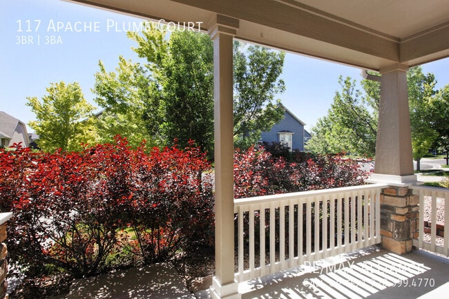 Photo - 117 Apache Plume Ct