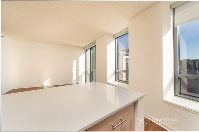 Photo - 550 N Kingsbury St Unit 1203