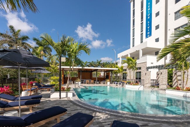 Pool - Overture Doral 55+ Active Adult Apartment ...