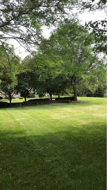 Southern Manor Apartments - Southern Manor Apartments