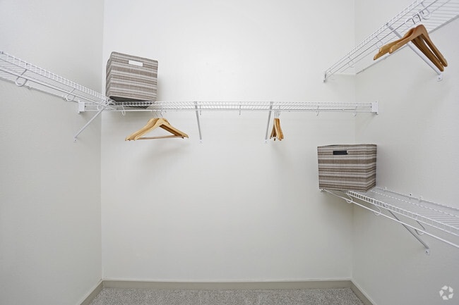 2BR,2BA - 1146SF B1 - CLOSET