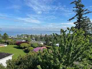 view from your private balcony - 217 Middlefield Rd Unit Apartment with view