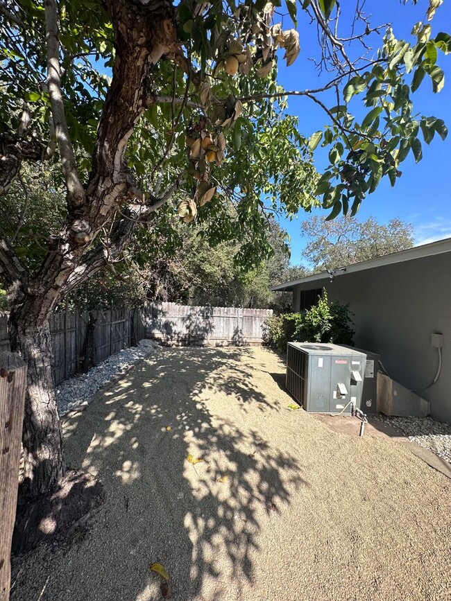 Photo - Gorgeous 3 bed 2 bath! (Please read entire ad before showing)