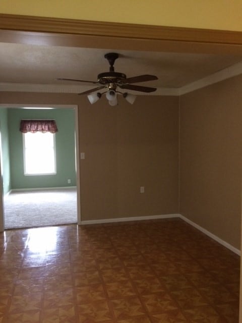 Photo - 203 Wendell St