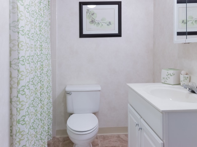 Model Bathroom