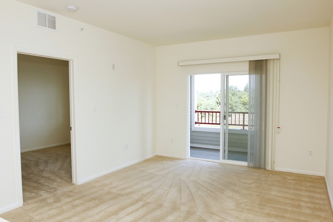 Photo - The Village at Homewood Point