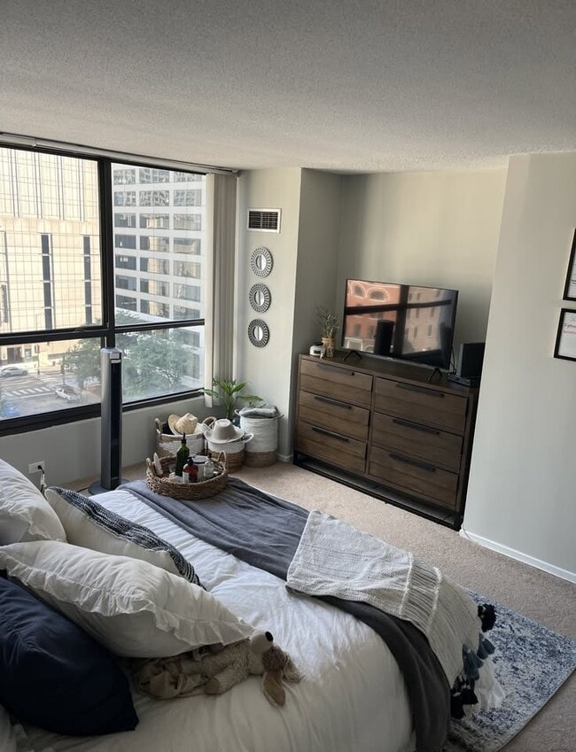 Building Photo - 405 N WABASH Unit 315 Rental
