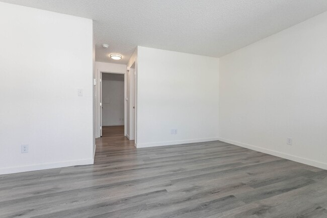 Photo - Arise Bellingham