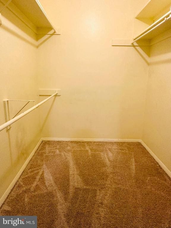 Photo - 11401 Commonwealth Dr Unit 301