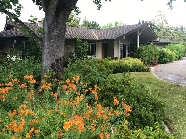 Photo - Spectacular 4 Bd/3 Ba, 2379 sf (plus separate structure ideal for office), single-family house in...