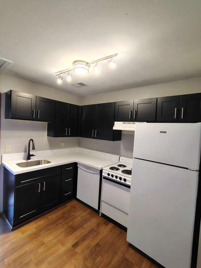 New Kitchen cabinets and quartz countertops - 2012 Spruce St Condo Unit 4