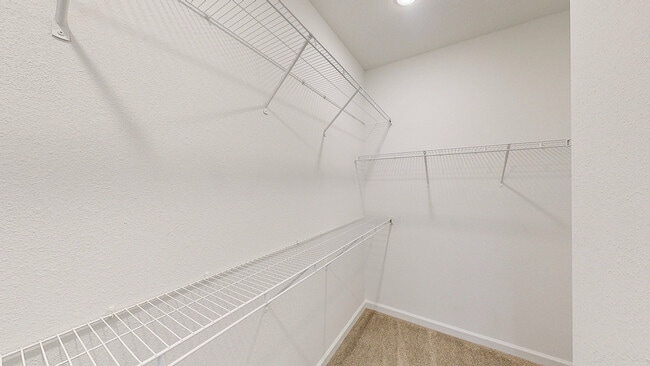 Spacious Walk-In Closet