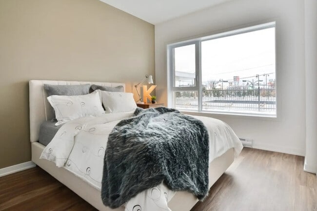 Photo - Le 6000 Tourbière