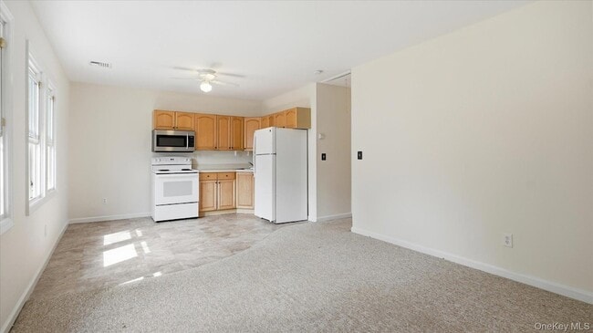 Photo - 455 Moriches Rd