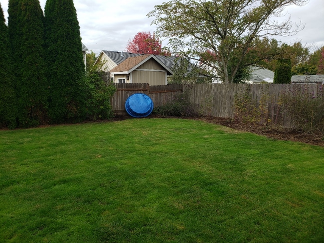 Photo - 770 Hyacinth St