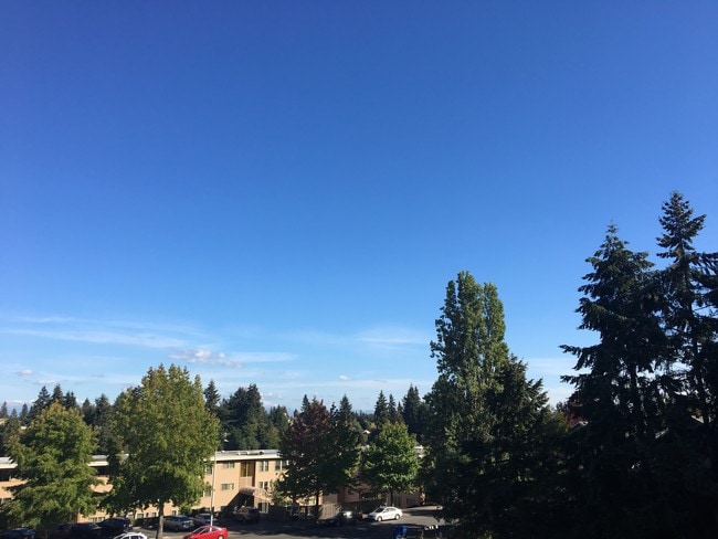 Photo - 12329 Roosevelt Way NE