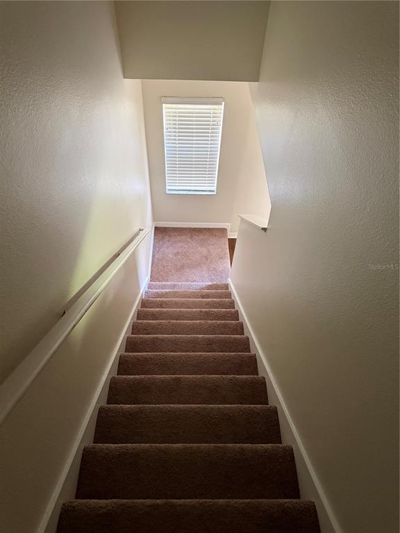287 Winding Vine Ln