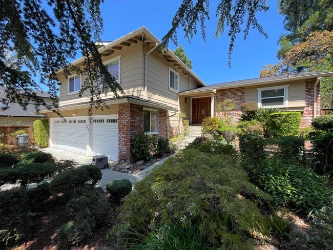 Photo - Beautiful home with pool in Cupertino, Available Soon!