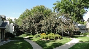 Photo - 6964 Park Ridge Dr