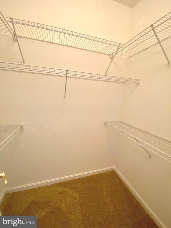 Photo - 11100 Trinity Ln