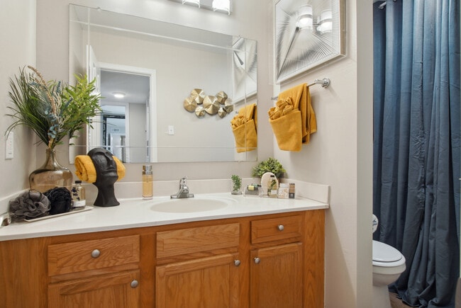 Summerfield Apartment Homes