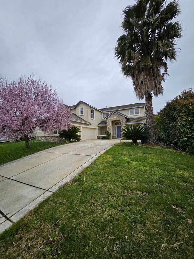 Photo - 1178 Jewelflower St