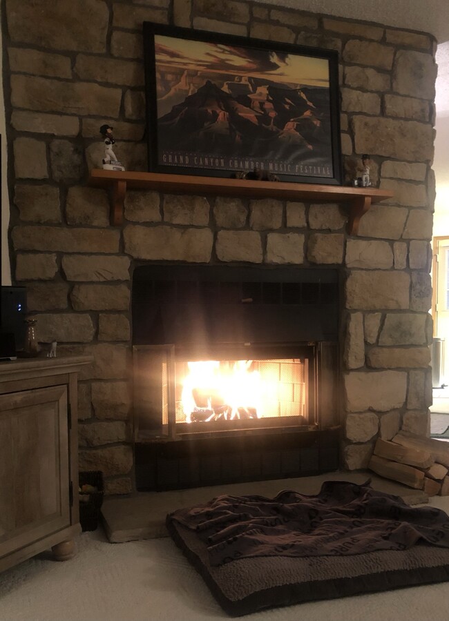 Chimenea en la sala de estar - 8185 S Fillmore Cir