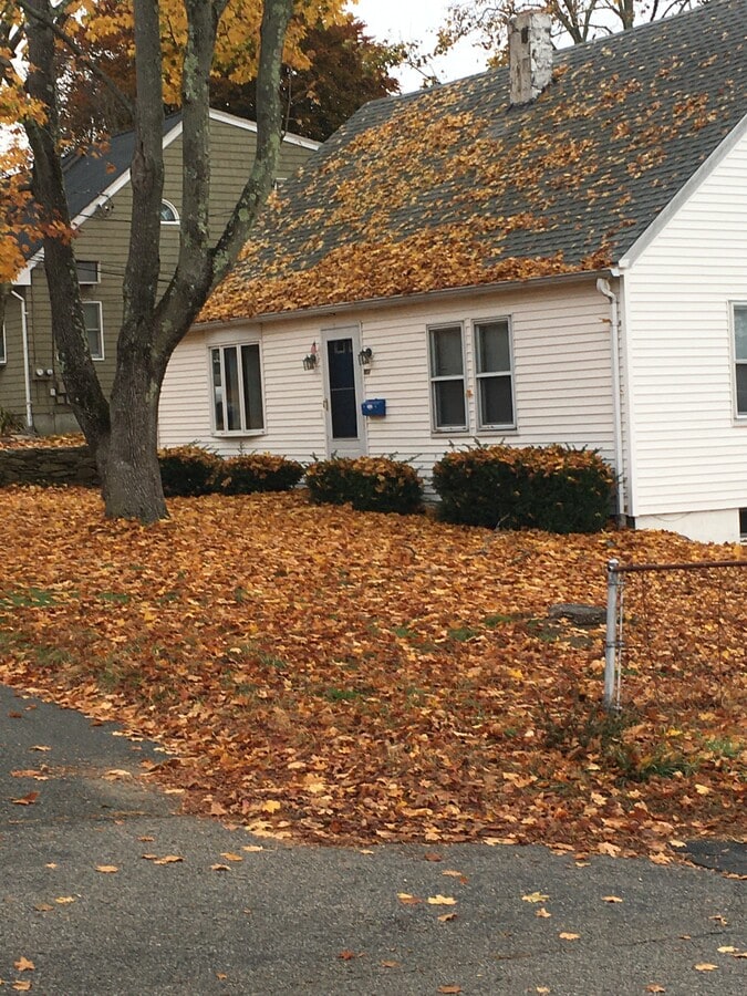 Photo - 80 Ide Ave Unidad 2nd floor