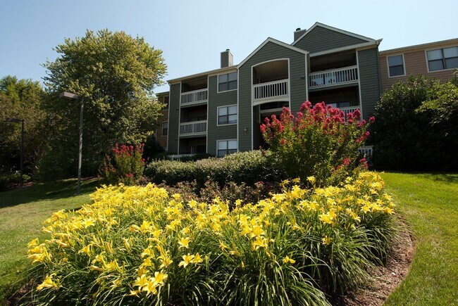 Crossings at White Marsh