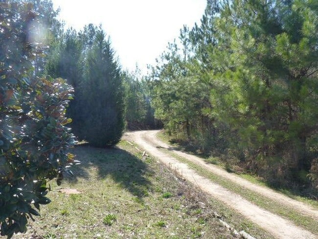 Photo - 825 Allen Rd