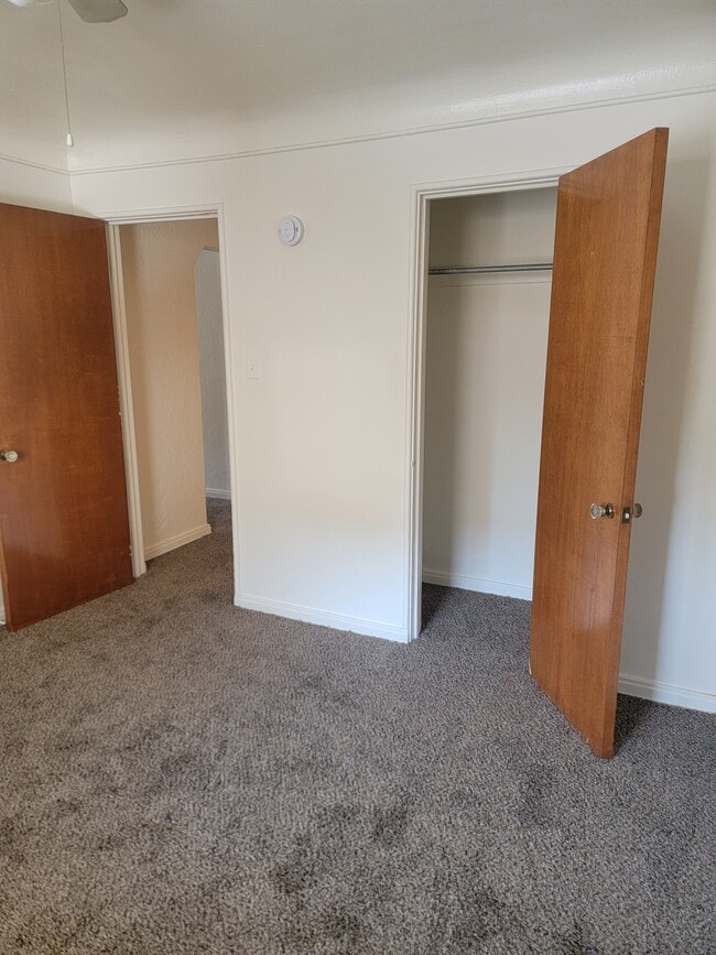 Photo - The Albion Apartments