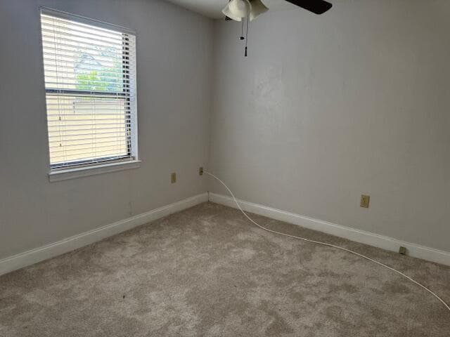 Photo - 258 Kidd St