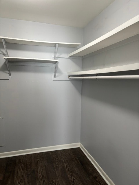 Large walk in closet - 2601 Hillsboro Pike Unit E-15