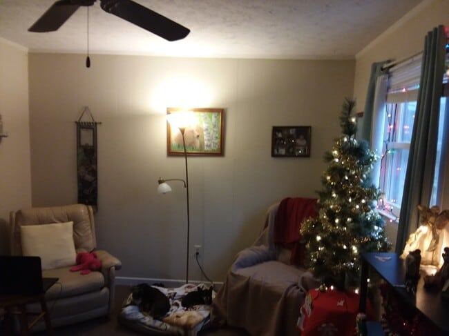 Photo - Unit #9 - Cullowhee Cabins & Cottages