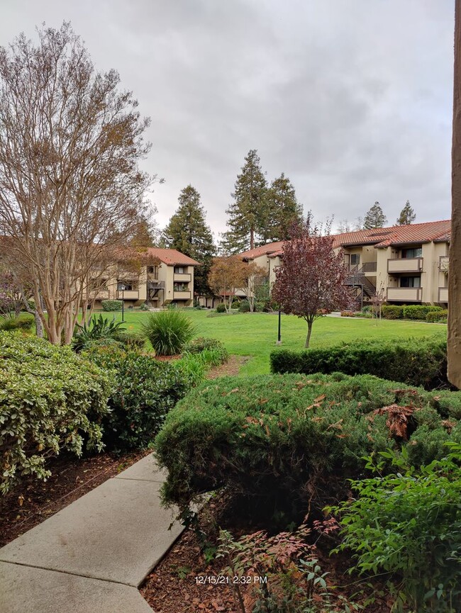South Fremont - 2 beds and 2 baths 1st Flo... - South Fremont - 2 beds and 2 baths 1st Flo...