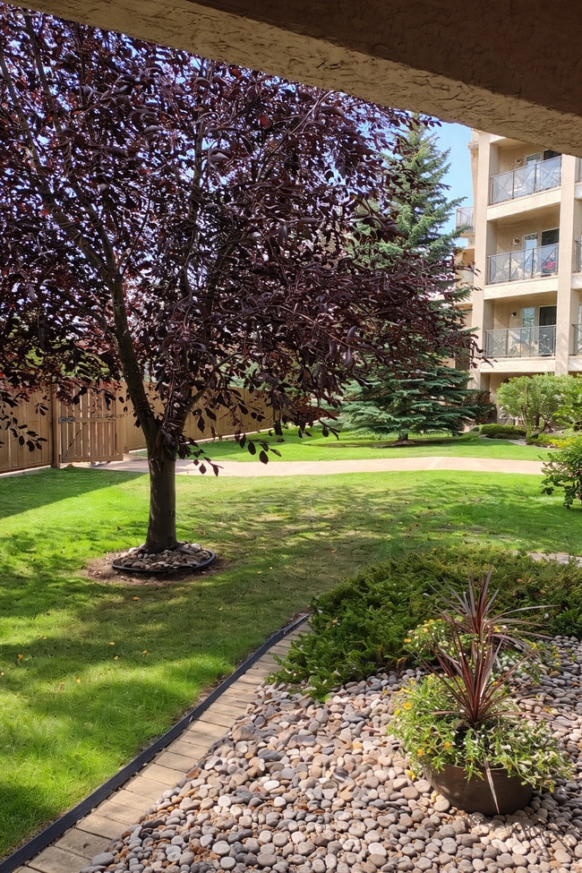 Building Photo - 8912-8156 156 St NW