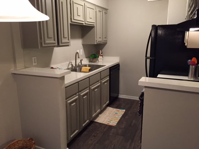 Photo - Lory of College Station