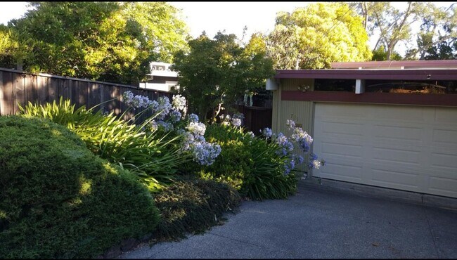 Photo - 721 Las Colindas Rd