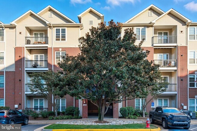 Building Photo - 1581 Spring Gate Dr. Unit 5203 Rental