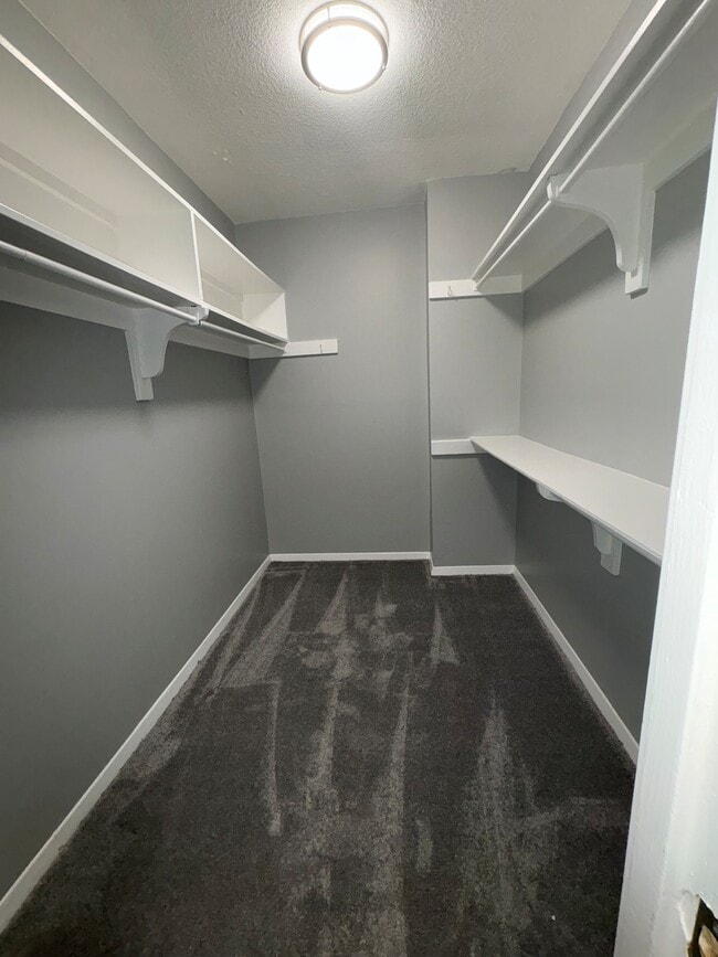 Photo - Langston Views