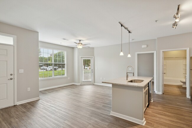Newly Renovated Kitchen
