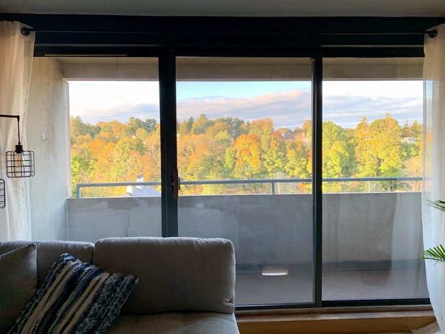 Photo - 1 Adams St Condo Unit 502