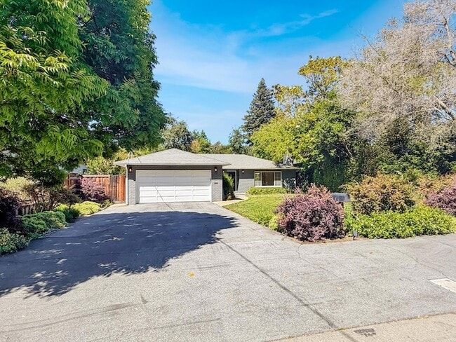 Photo - 950 Olive St