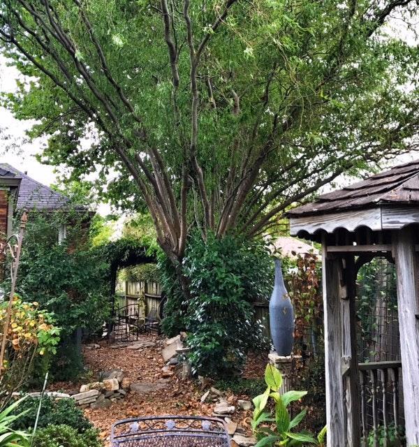 shared garden - 942 Russell St Unidad C