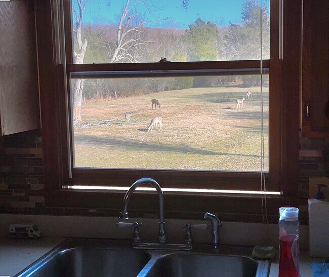 Photo - 134 Church Cross Rd